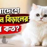 পার্সিয়ান বিড়ালের দাম.png