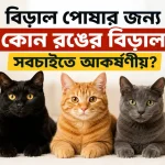 কোন রঙের বিড়াল সবচাইতে আকর্ষণীয়.png