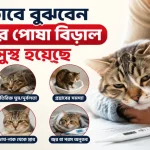 পোষা বিড়াল অসুস্থ.png