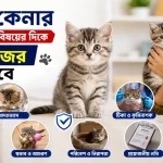 বিড়াল কেনা.png