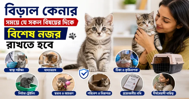বিড়াল কেনা.png
