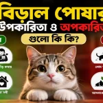 বিড়াল পোষার উপকারিতা ও অপকারিতা.png