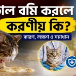বিড়াল বমি করলে করণীয়.png