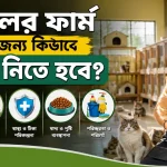 বিড়ালের ফার্ম.png