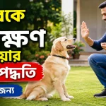 কুকুরকে প্রশিক্ষণ দেওয়া.png