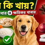 কুকুরের খাবার তালিকা.png