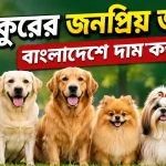 কুকুরের জনপ্রিয় জাত.png