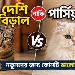 দেশি বিড়াল নাকি পার্সিয়ান.png