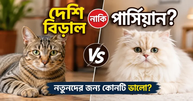 দেশি বিড়াল নাকি পার্সিয়ান.png