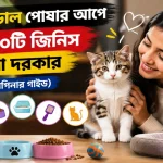 নতুন বিড়াল পোষা.png