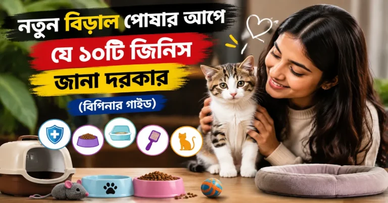 নতুন বিড়াল পোষা.png