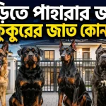 পাহারার জন্য সেরা কুকুরের জাত.png