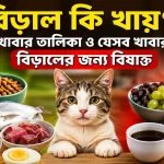 বিড়াল কি খায়.png