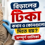 বিড়ালের টিকা.png