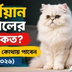 বিড়ালের দাম.png