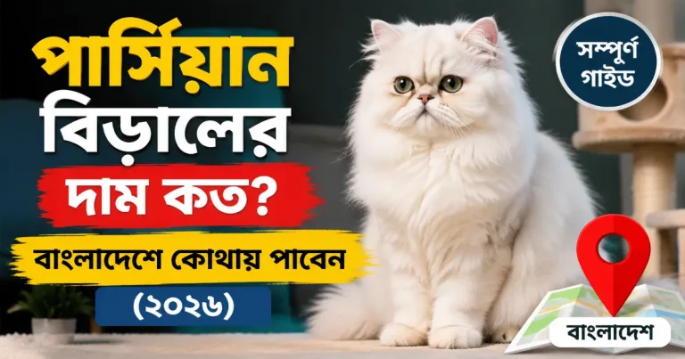 বিড়ালের দাম.png