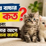 বিড়ালের বাচ্চার দাম.png