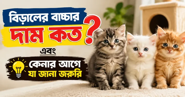 বিড়ালের বাচ্চার দাম.png