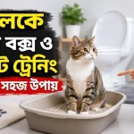 লিটার বক্স ও টয়লেট ট্রেনিং.png
