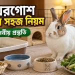 খরগোশ পালন.png