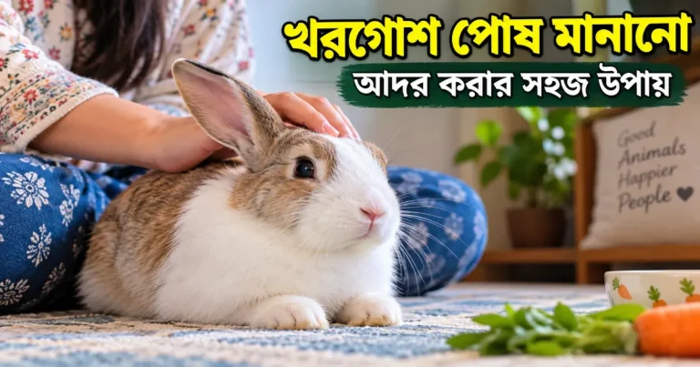 খরগোশ পোষ মানানো.png
