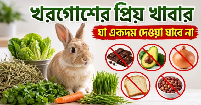 খরগোশের প্রিয় খাবার.png