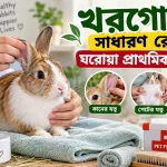 খরগোশের সাধারণ রোগ.png