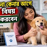 কুকুরছানা কেনা.png