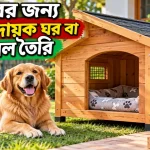 কুকুরের জন্য আরামদায়ক ঘর.png